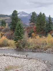 Autumn in Clear Creek