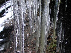 Icicles on the Allen Trail
